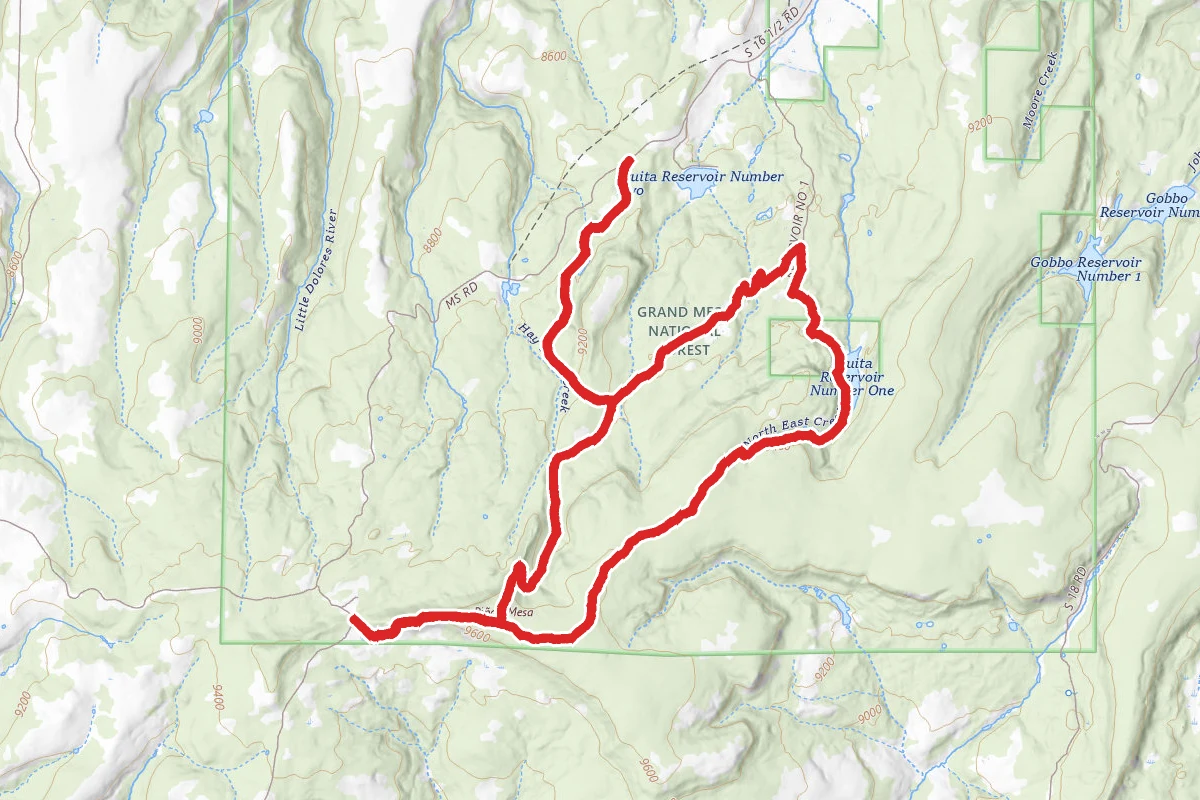 Turkey Flats Loop Trail
