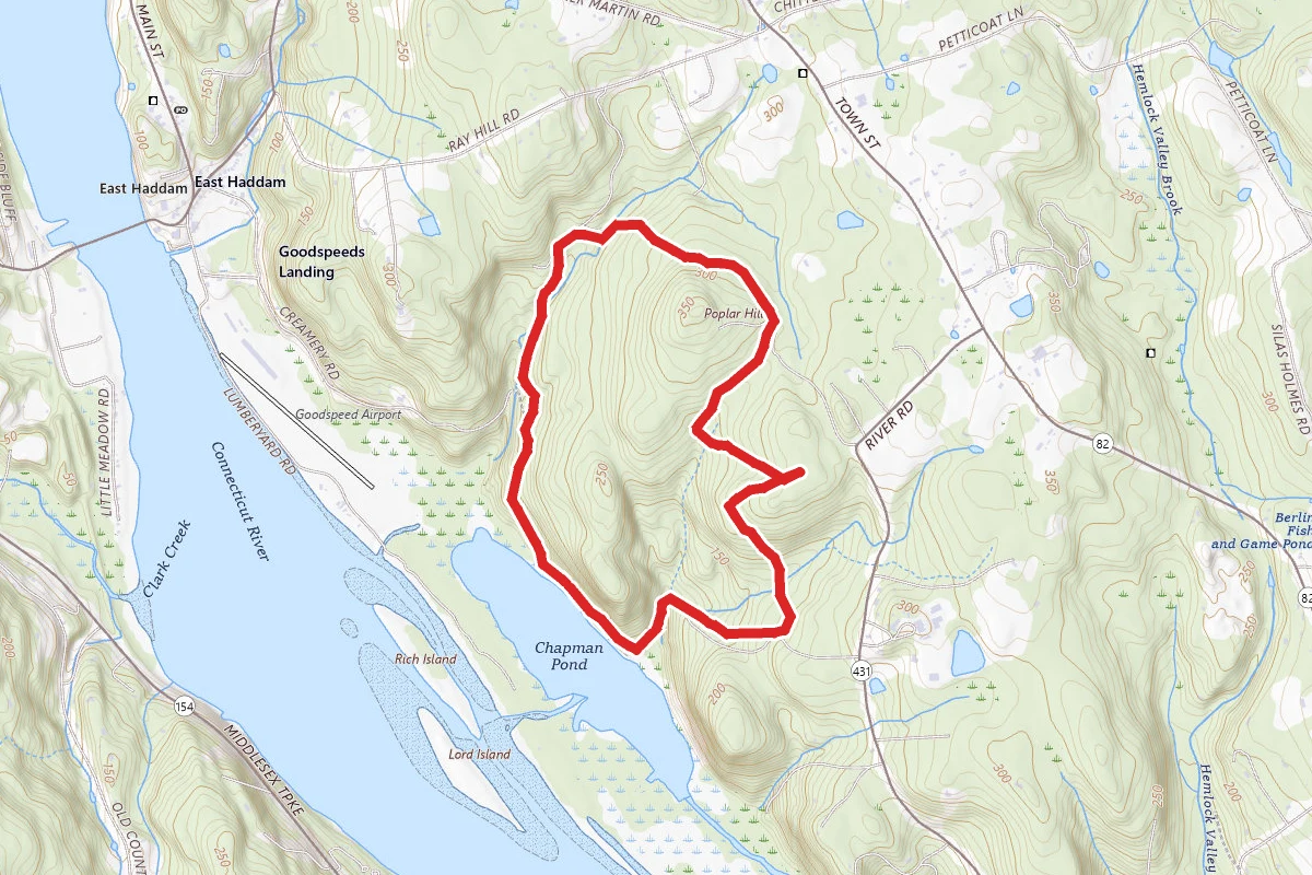 Chapman Pond Loop