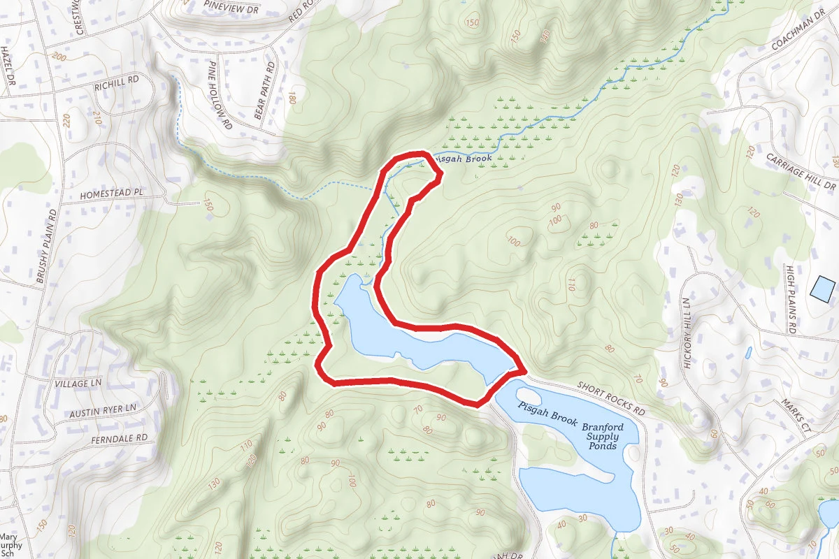 Branford Supply Pond Red Trail Loop
