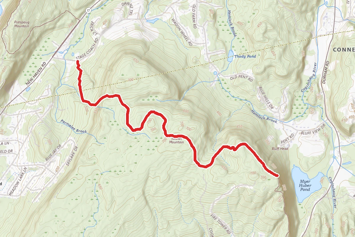 Bluff Head from New Haven Road via Mattabesett Trail