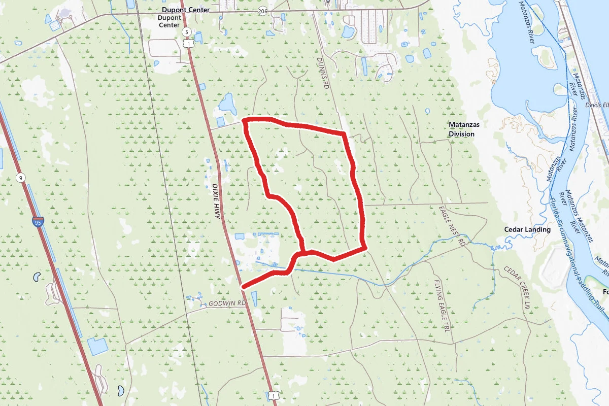 Matanzas State Forest Loop Trail
