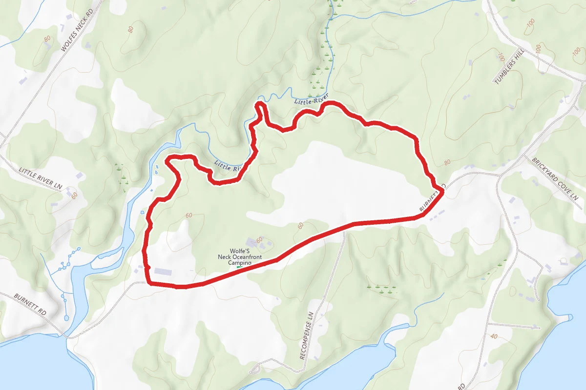 Wolfe's Neck Farm Loop