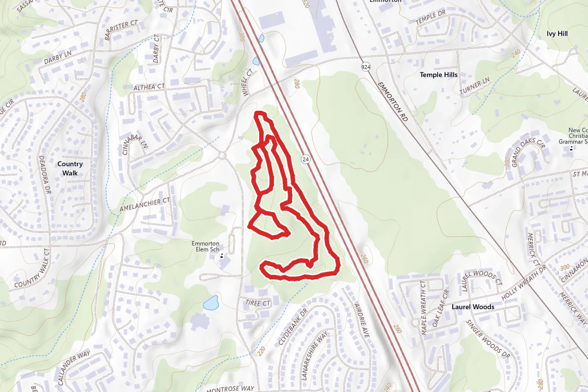 Dragonfly, BEAR Adventure, Story Forest and CFA Trail Loop