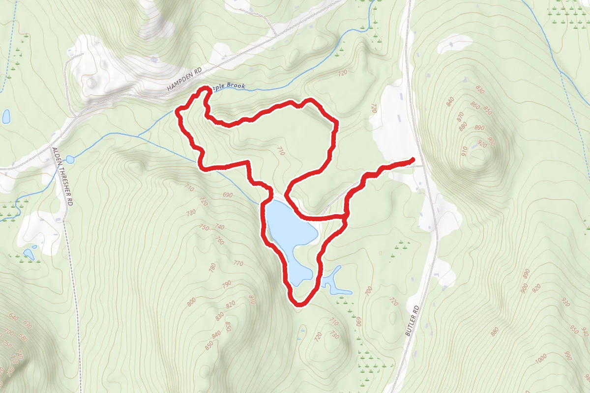 Lunden Pond and Temple Brook Loop