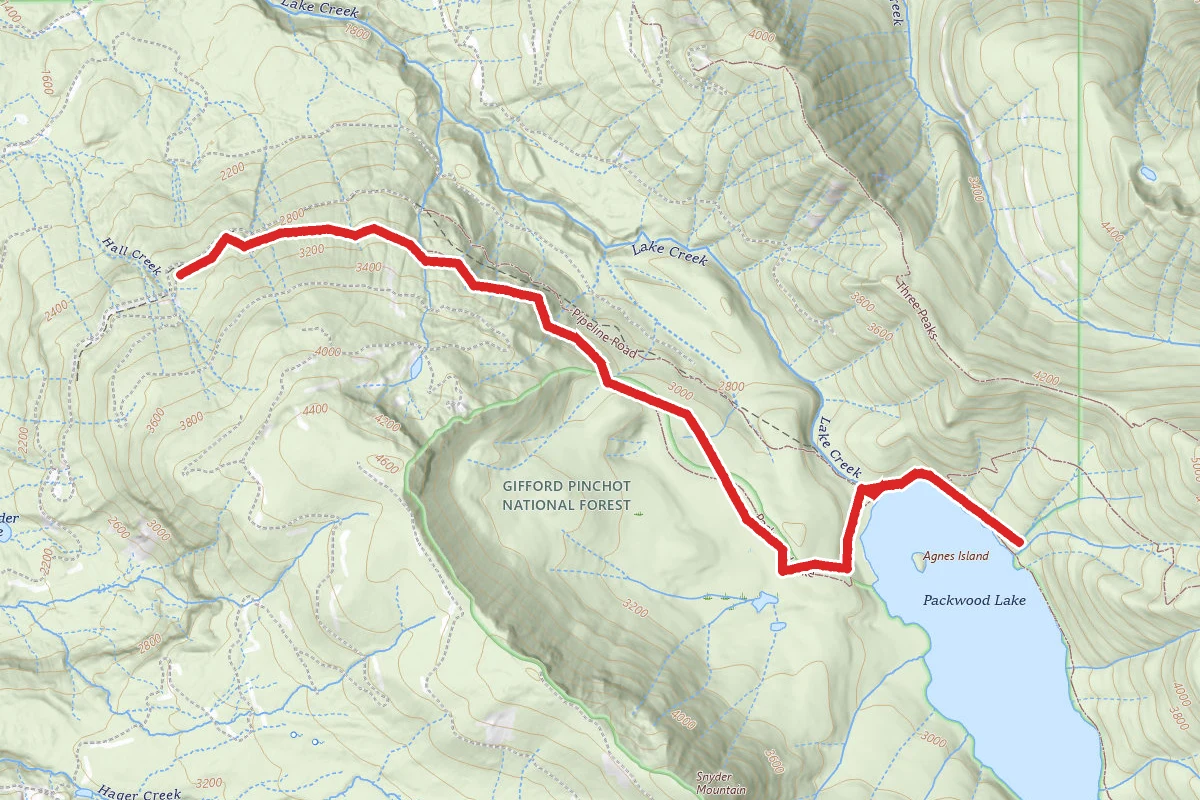 Packwood Lake Trail