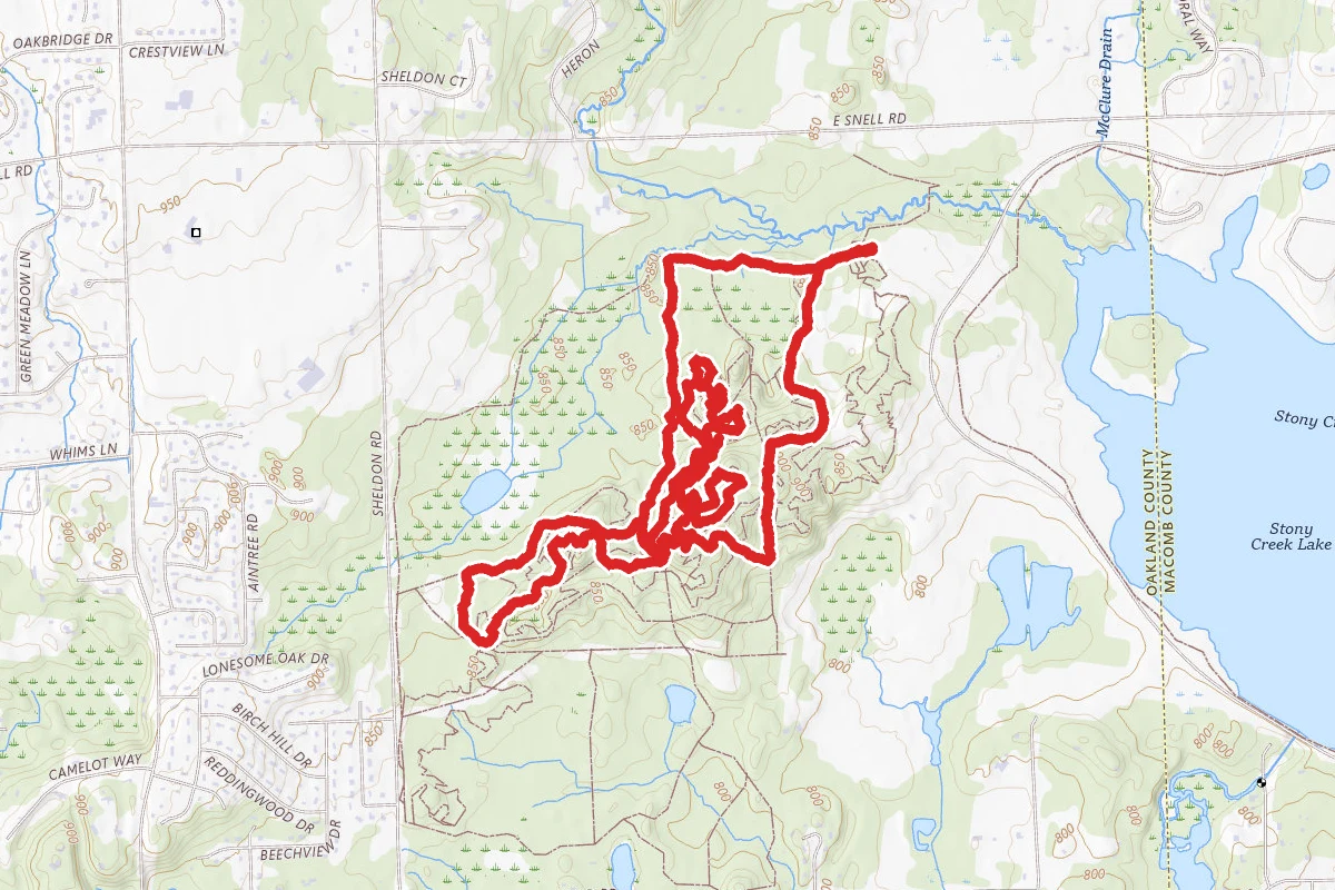 Black Nine Loop