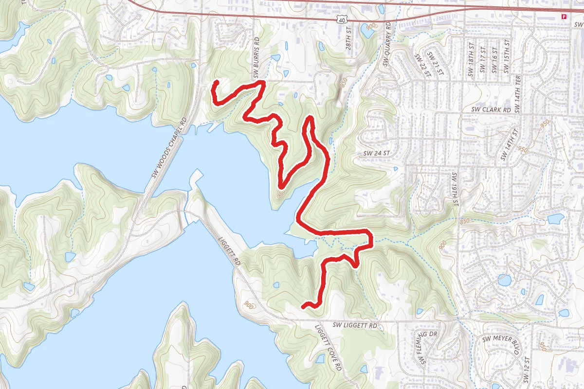 Lake Vista Trail from Woods Chapel Road route map