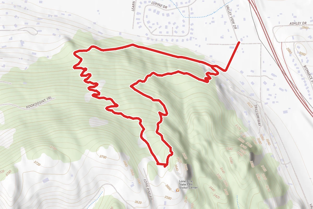 Western Larch and Cliff Trail Loop