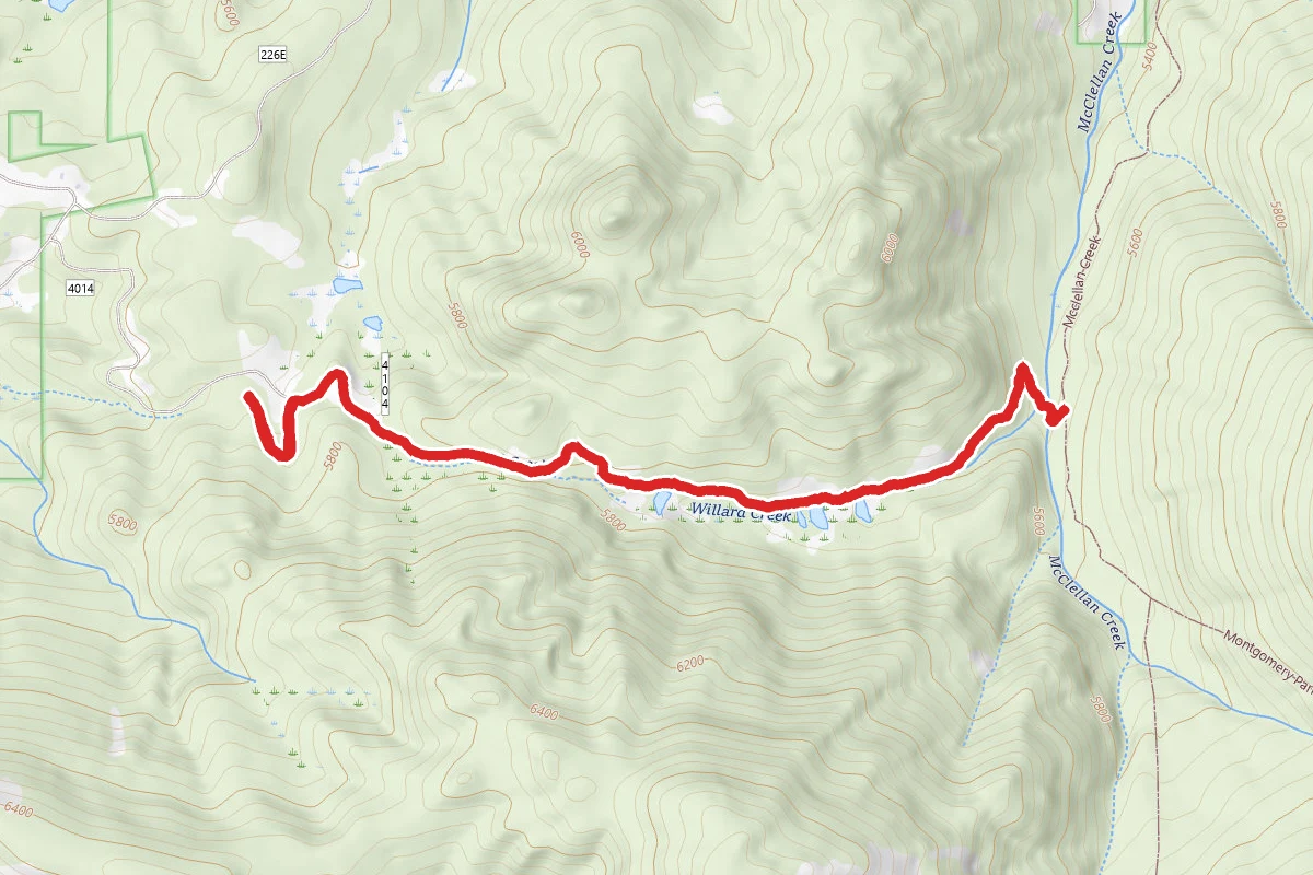 Willard Creek Trail