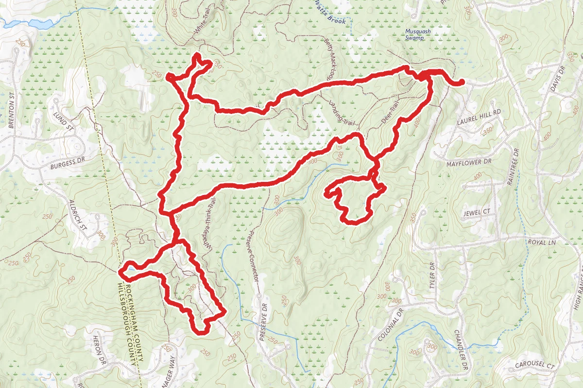 Porcupine Ridge, Heron, Litchfield Forest, and Overlook Trails Loop