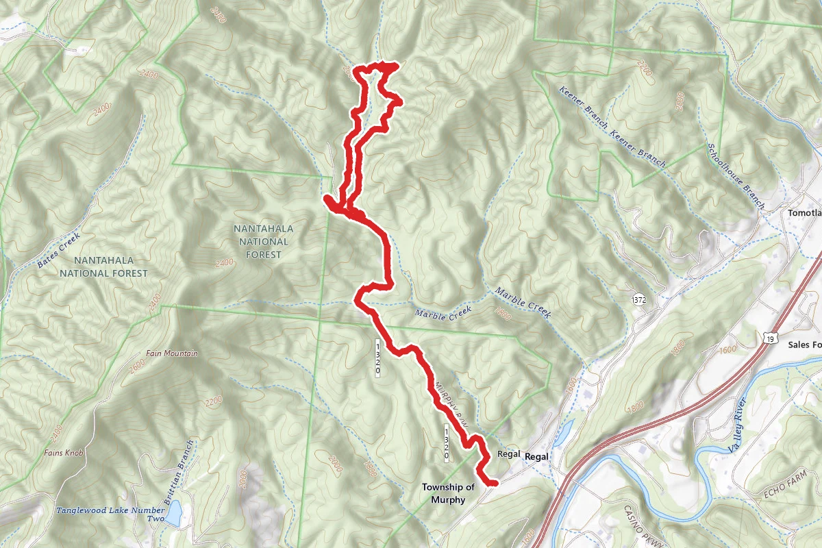 Grape Smuggler to Piney Knob Loop
