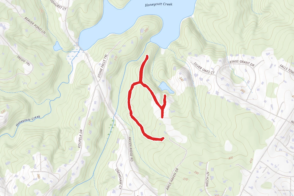 Epps Forest Trail to Pond