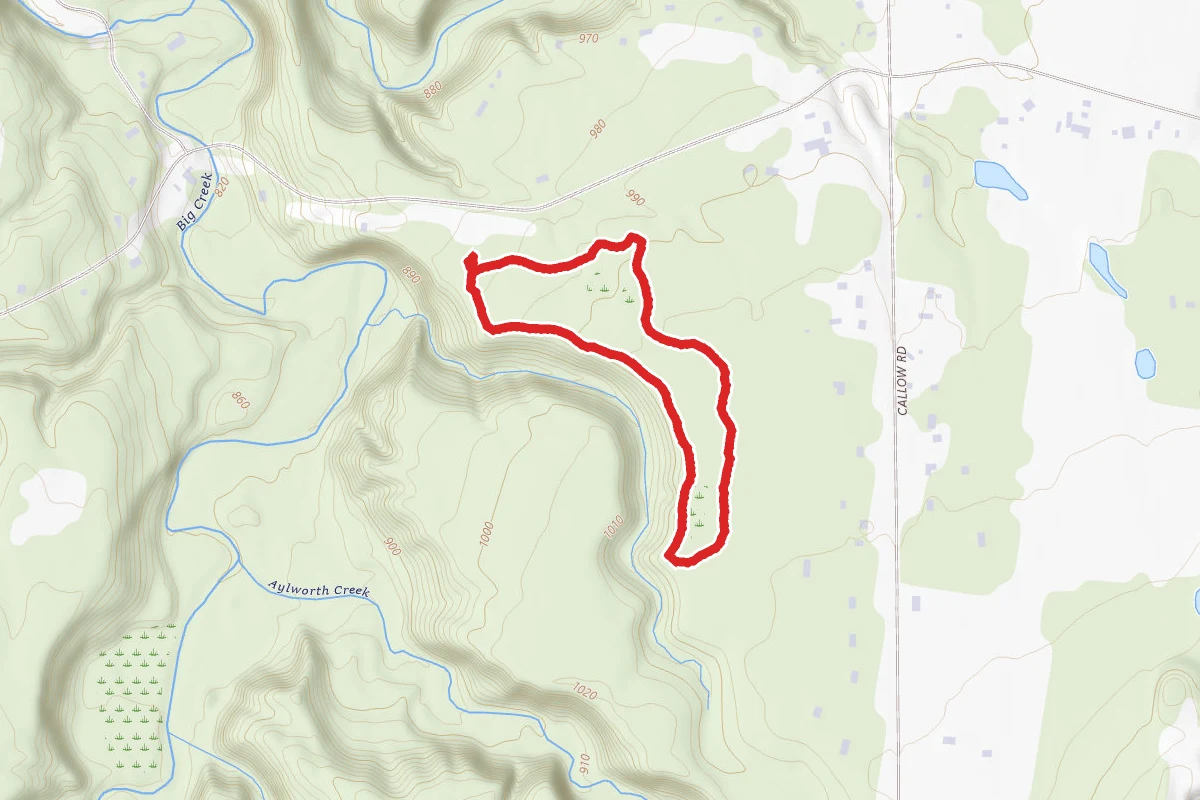 Surveyor's Woods Loop Trail