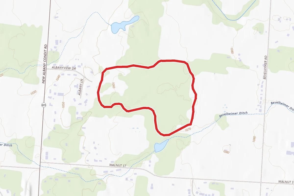 Beech Woodland Trail Loop