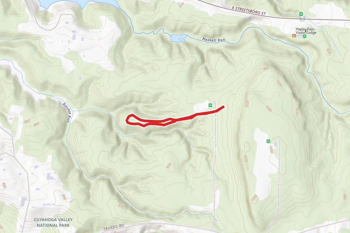 Forest Point Trail