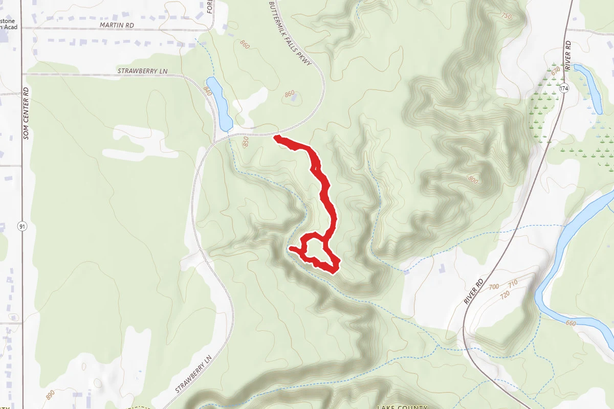 White Pine Loop Trail