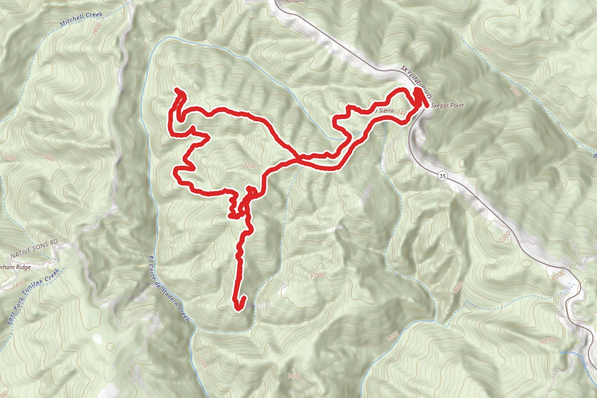 Tafoni and Fir Trail