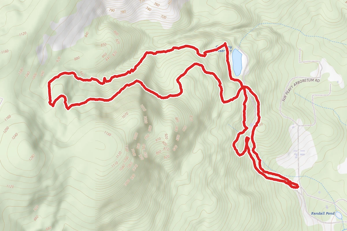 Road 500 and Section 36 Loop Trail