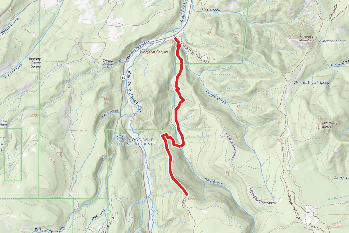 Dog River Trail