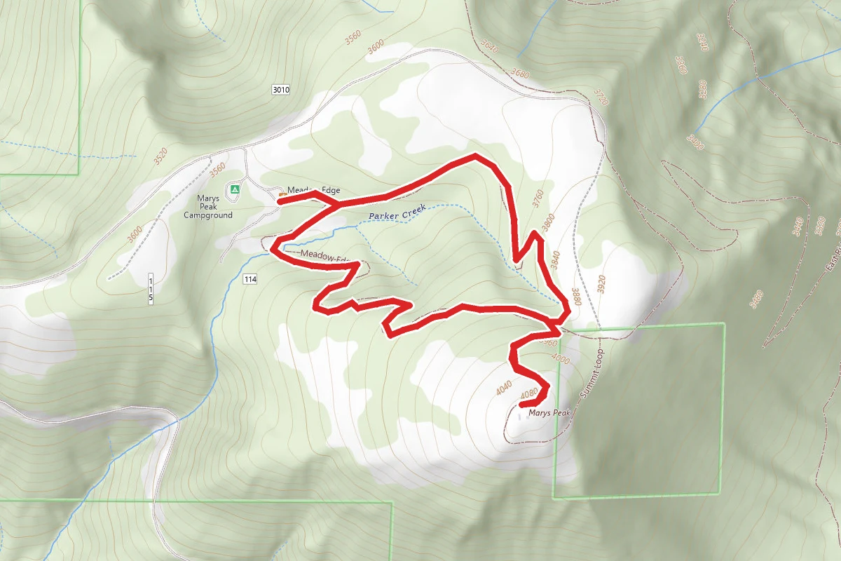 Mary's Peak Summit Loop