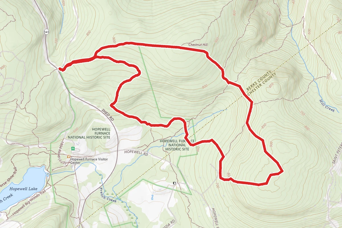Buzzard Trail