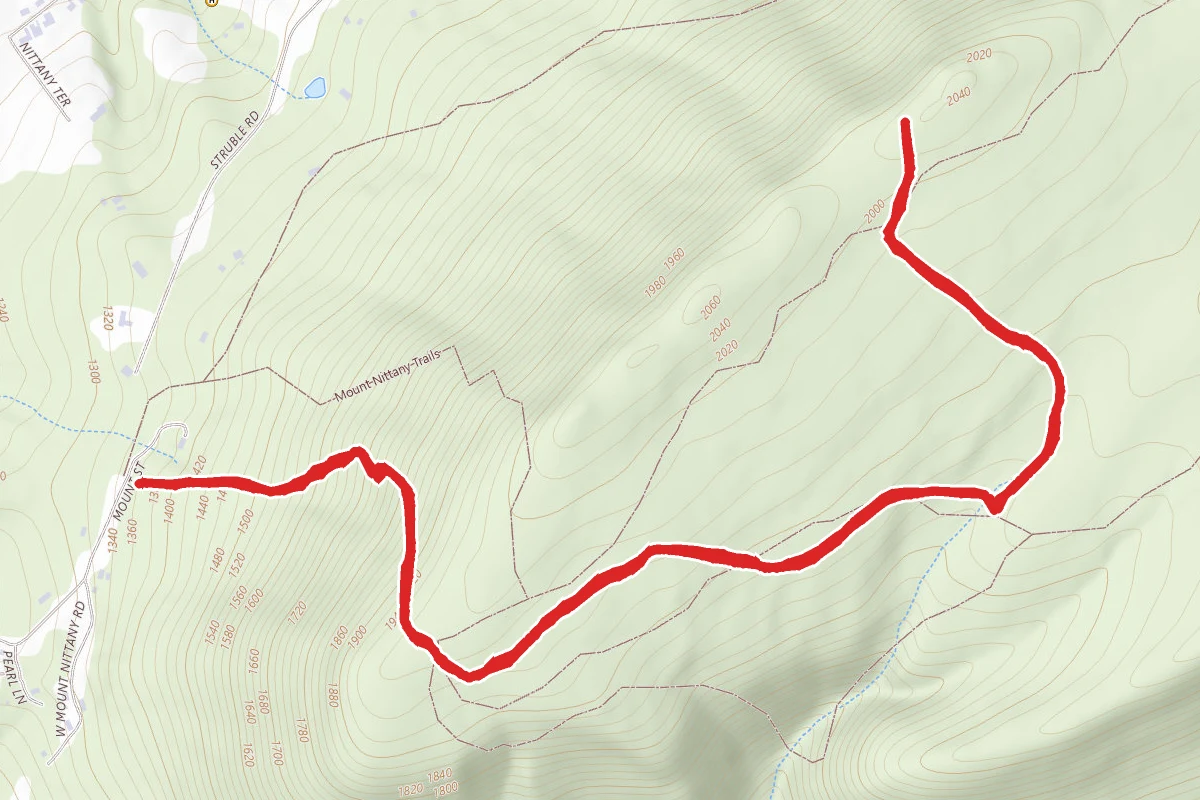 White Blazed Trail