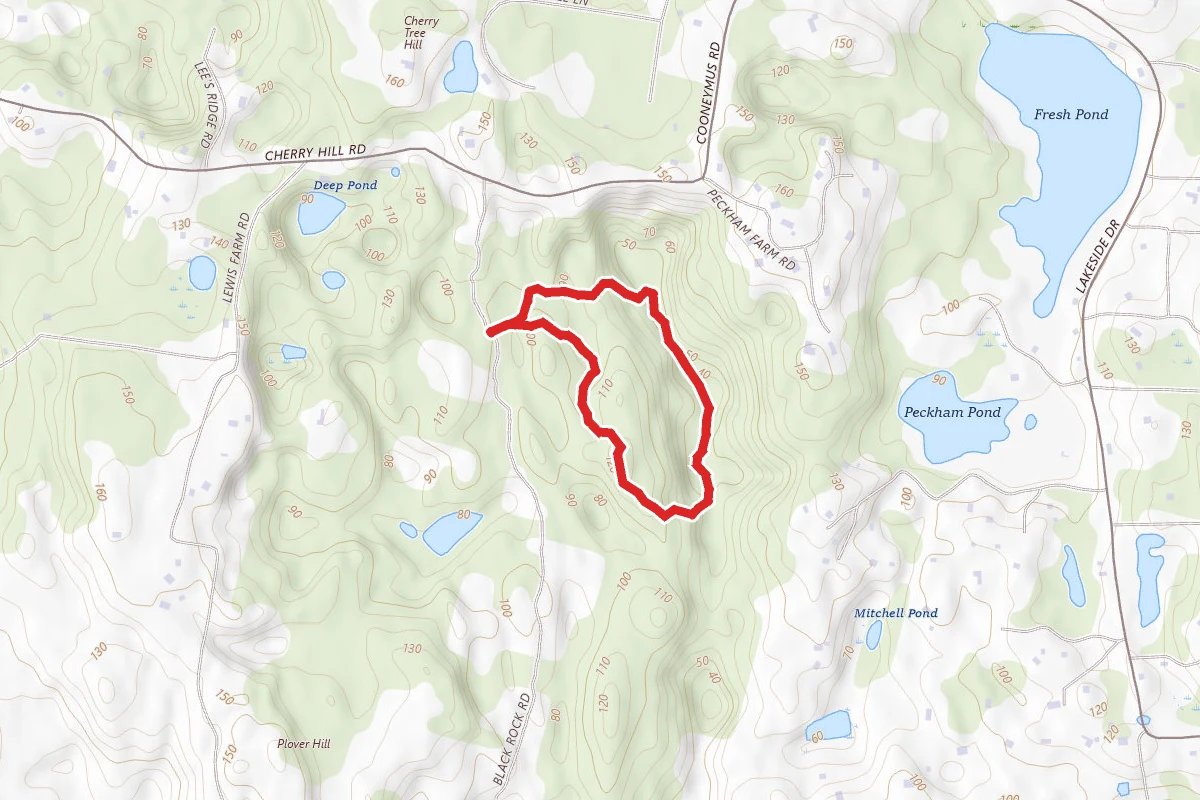 Rodman's Hollow Trail