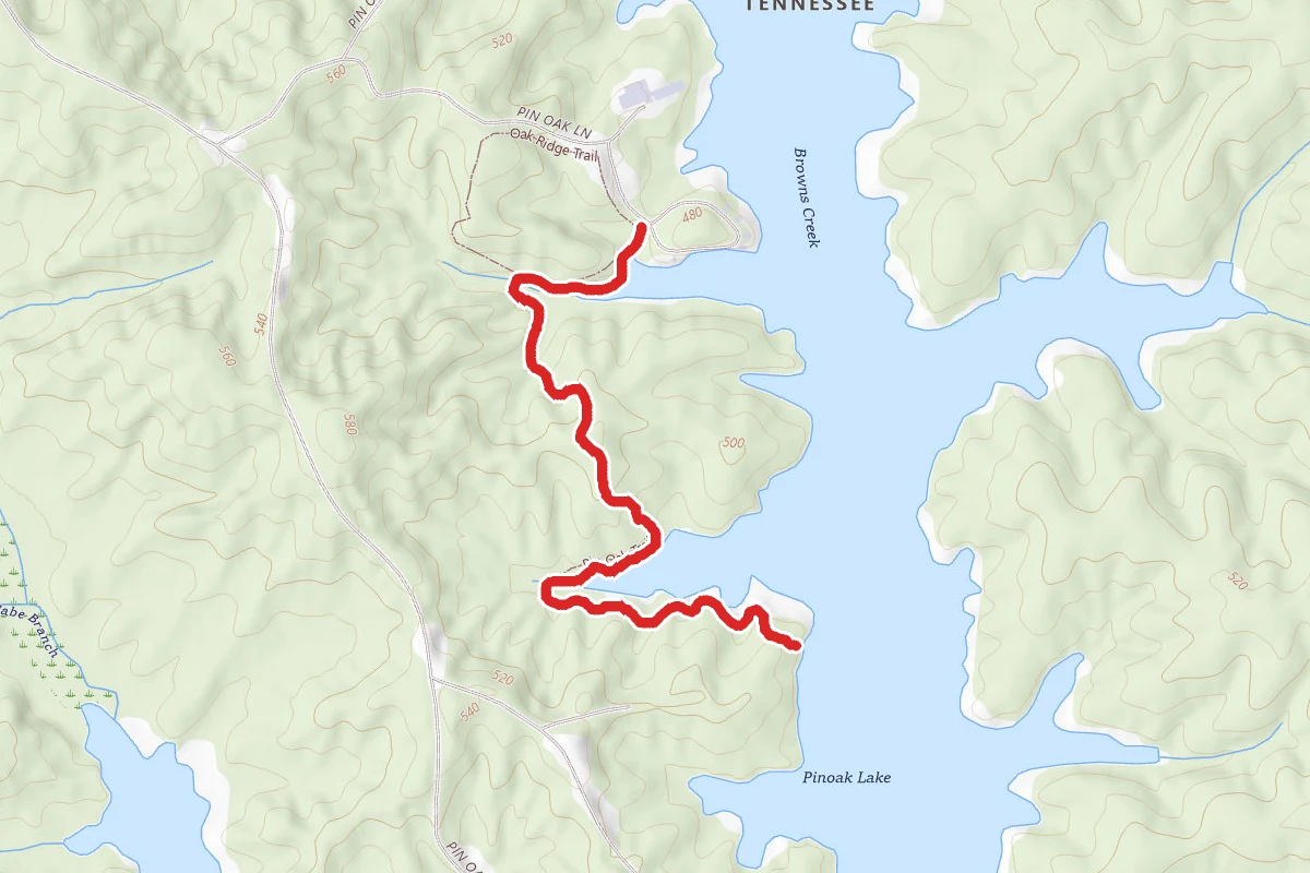 Pin Oak Trail
