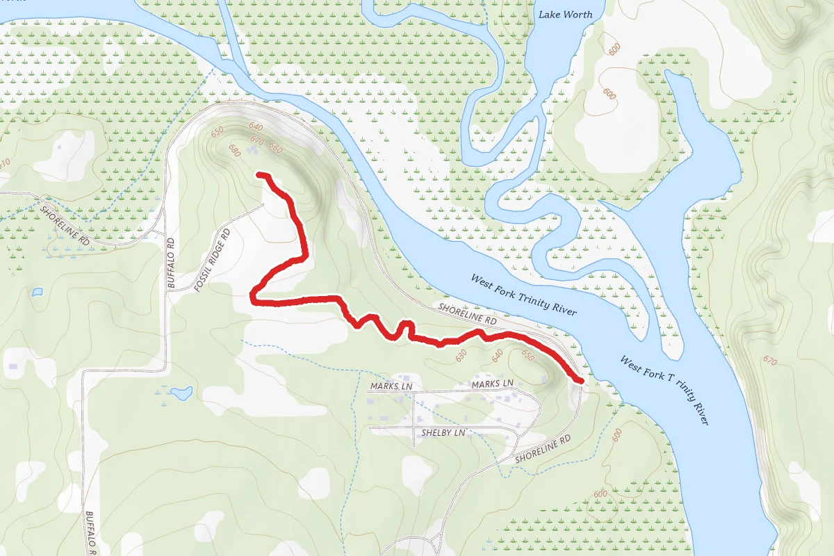 Deer Mouse Trail