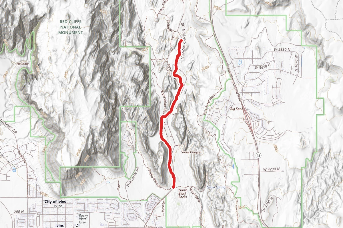 Whiptail Trail