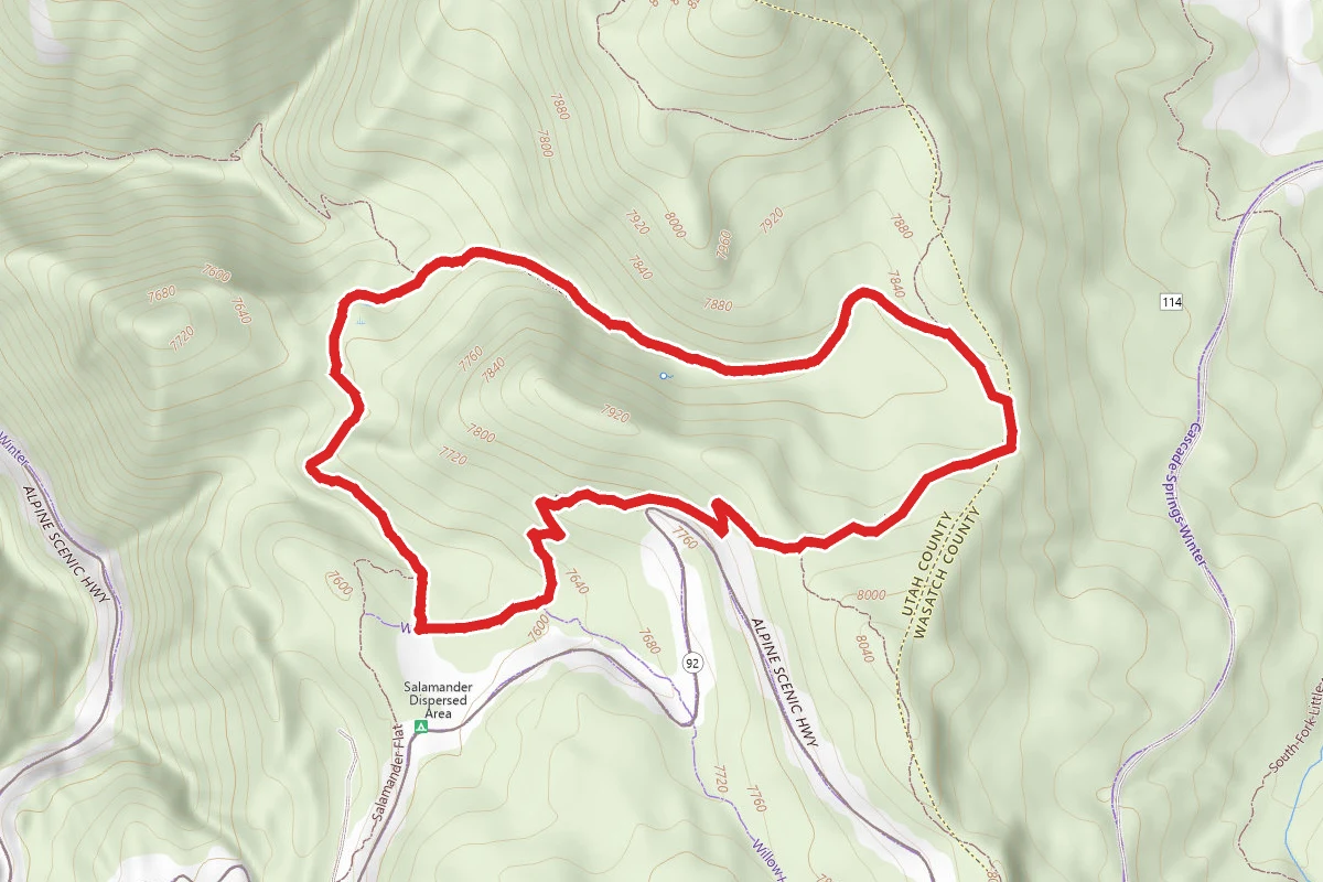 Salamander Flat and Pine Hollow Loop