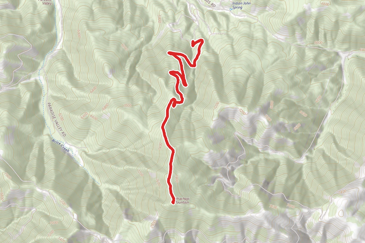 Tehachapi Mountain Trail