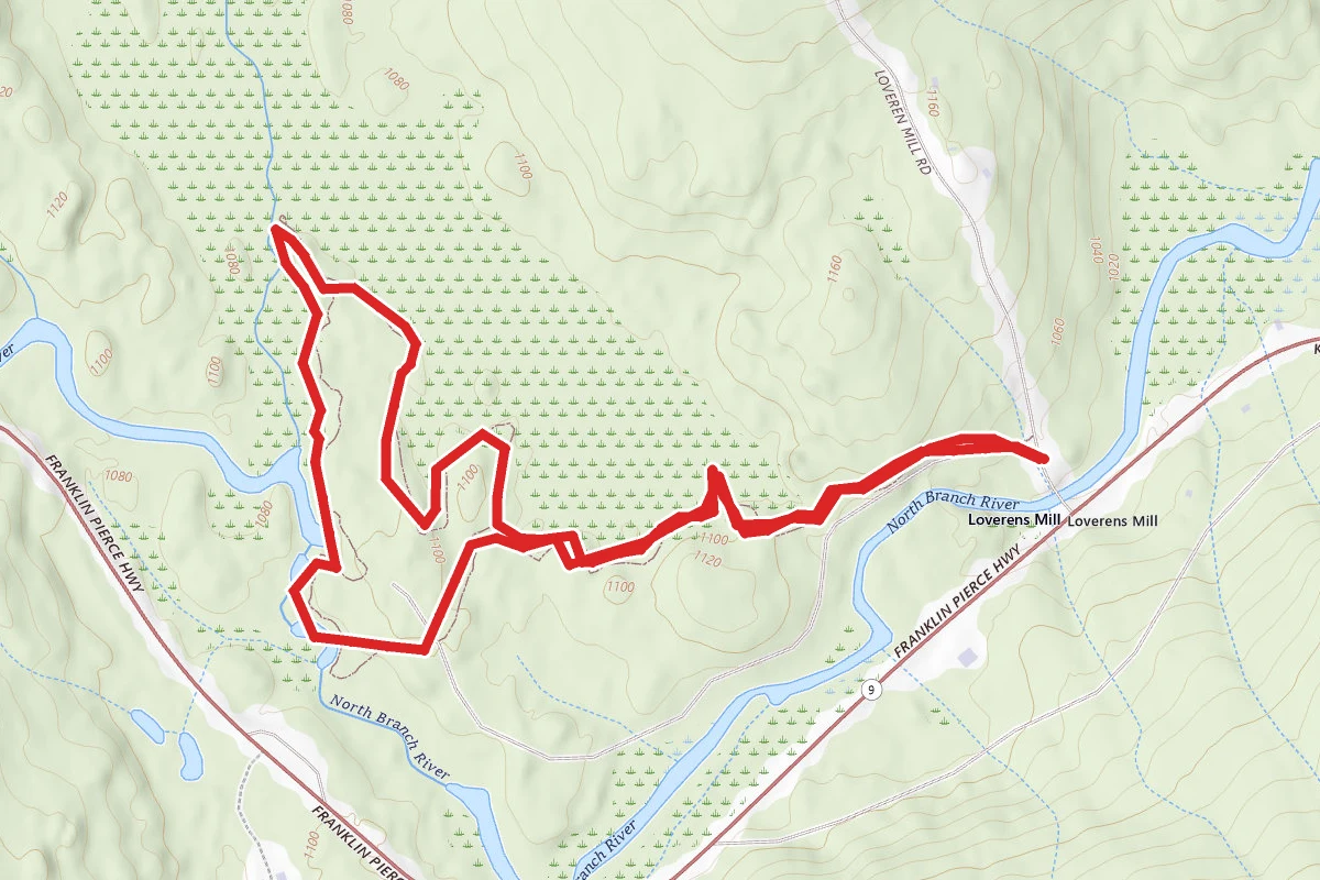Loverens Mill Cedar Swamp Trail