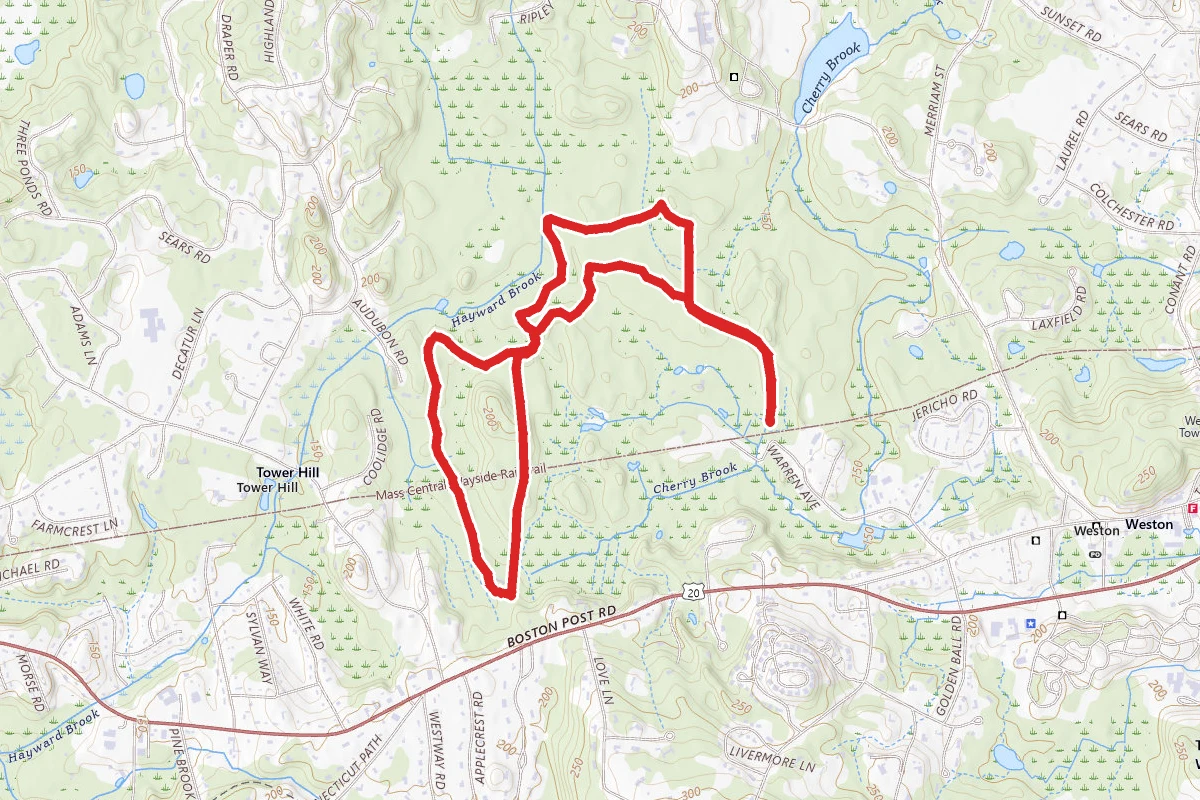 Jericho Town Forest Loop via Warren Avenue