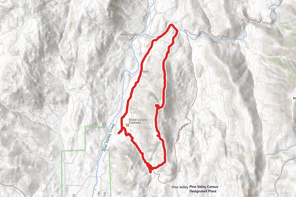 Pine Valley Flag Trail