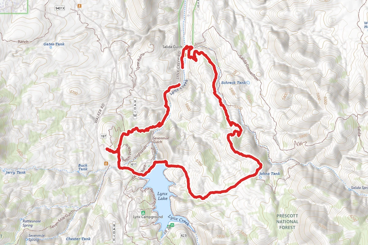 Salida Loop