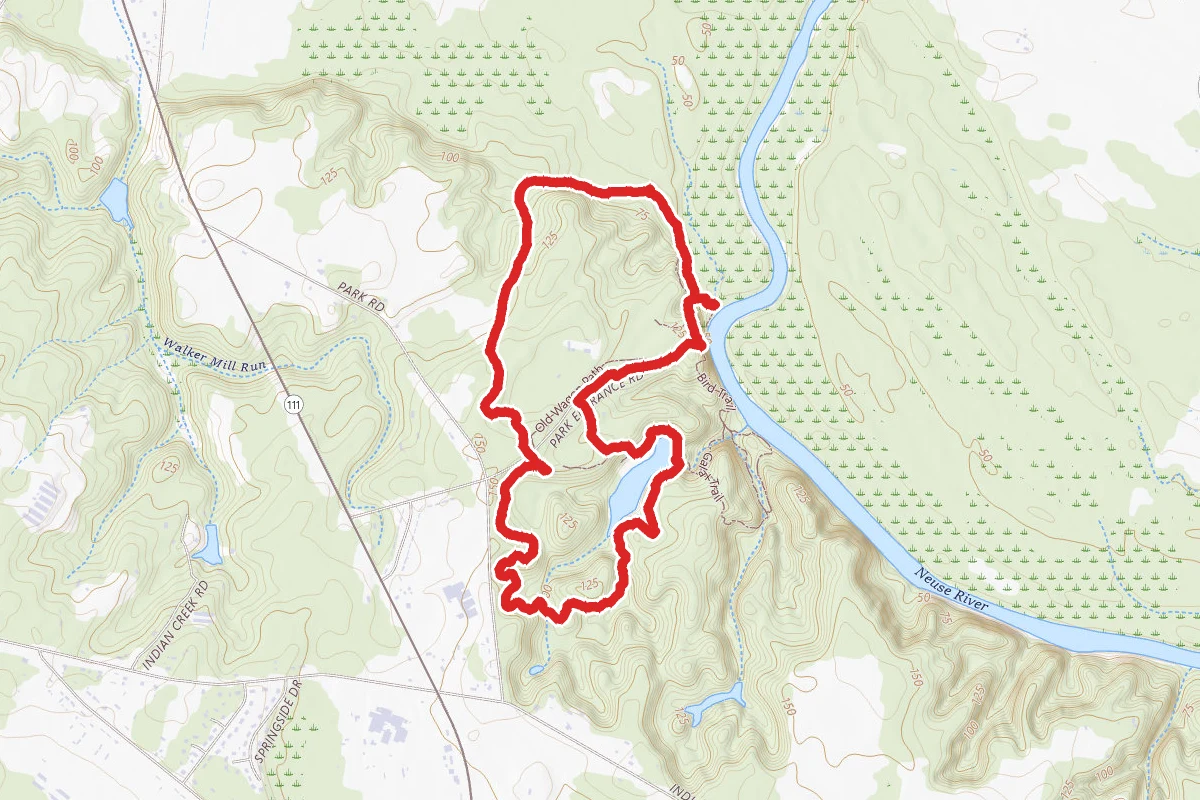 Lake to Spanish Moss to Longleaf Loop