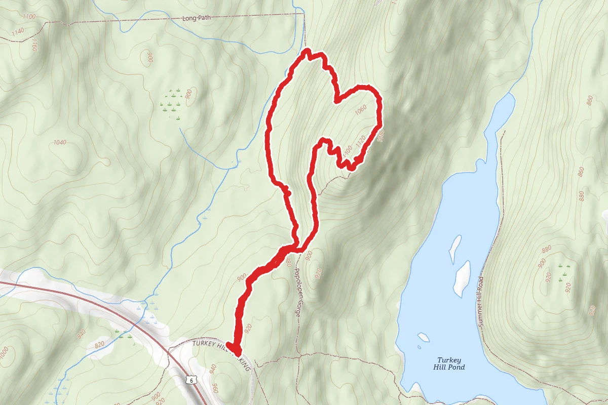 Torrey Memorial via New Loop