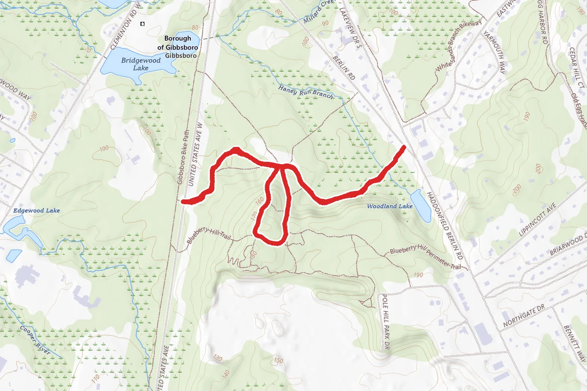 Blueberry Hill Loop