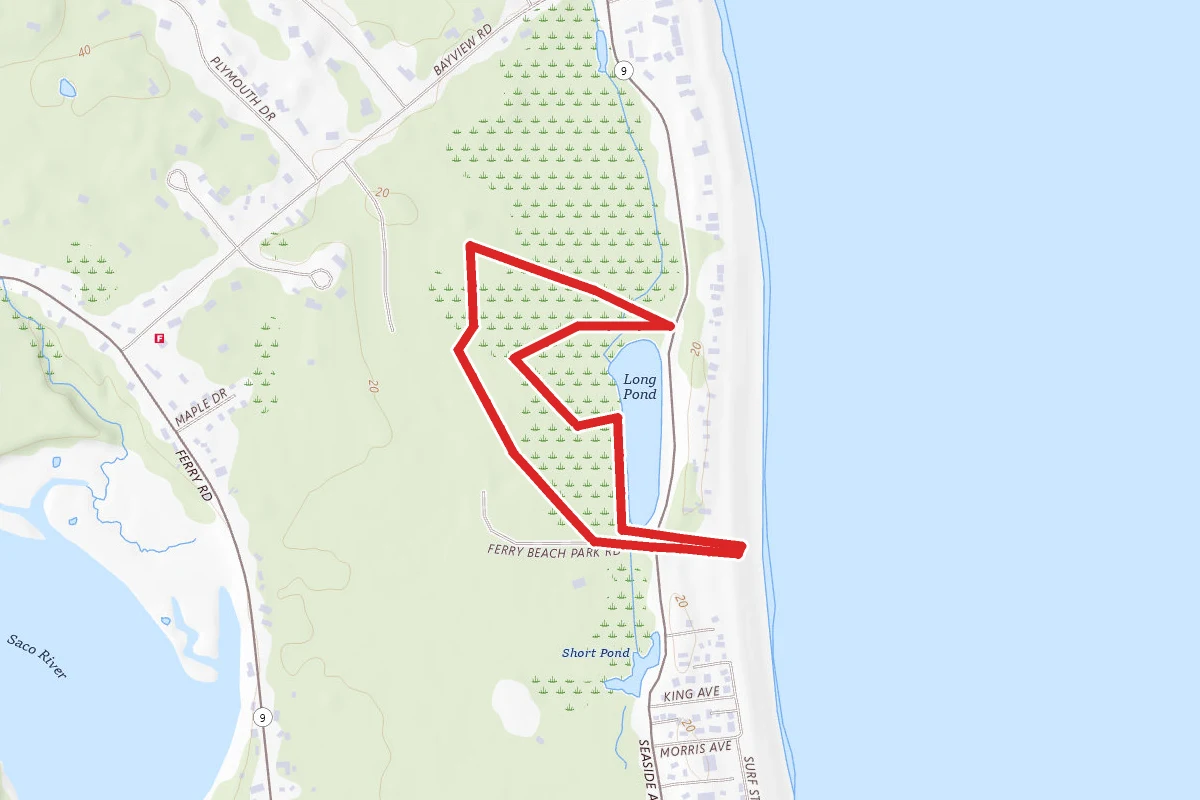 Ferry Beach, Camp Ellis Breakwater