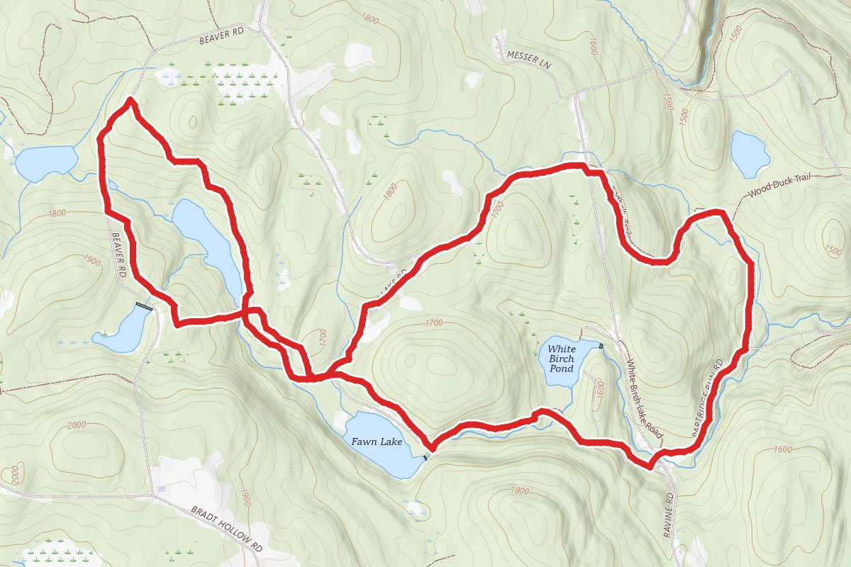 Partridge Run