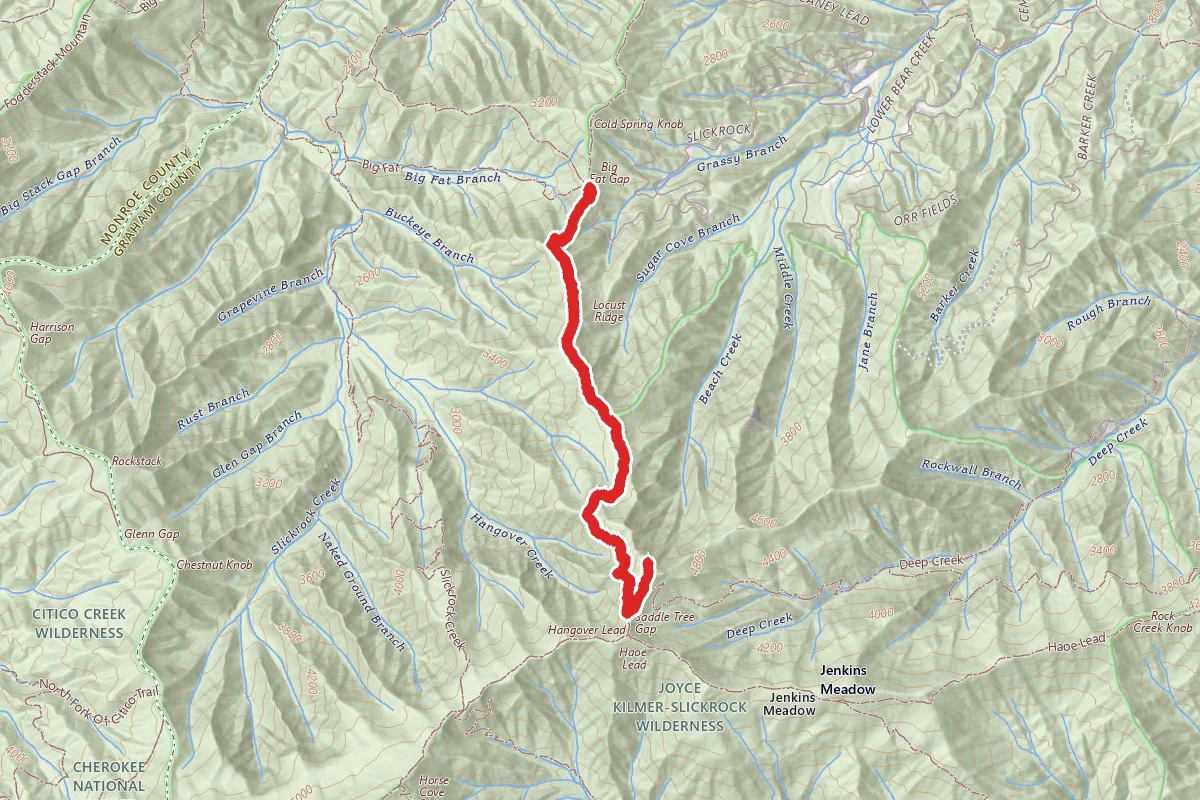 Hangover Lead Trail