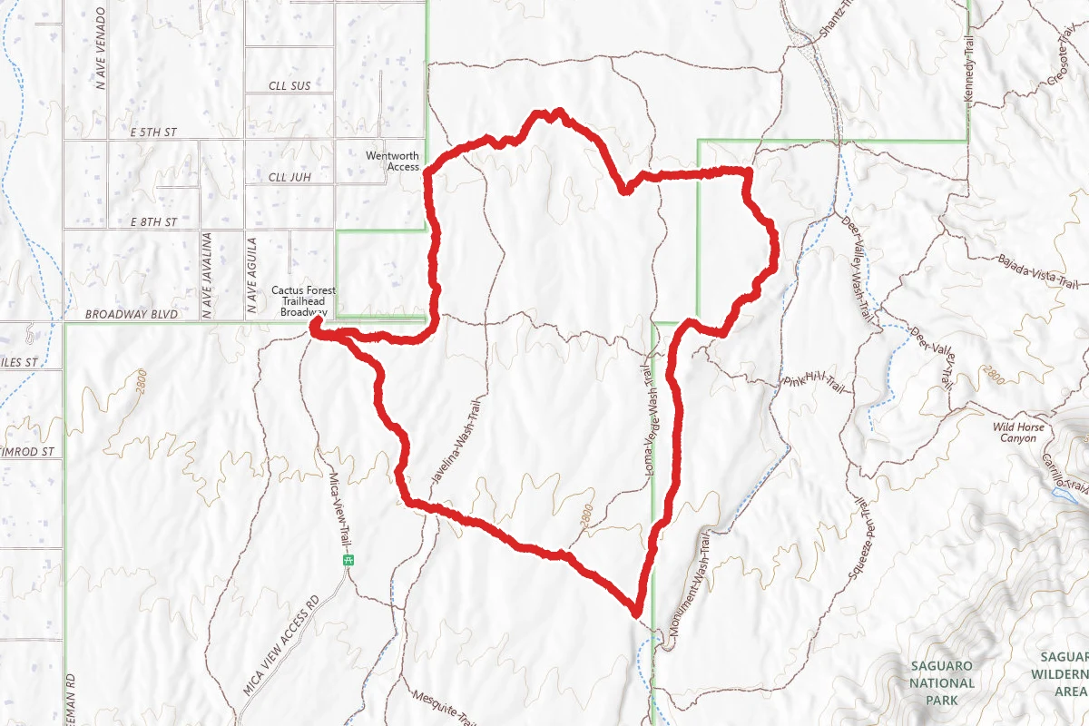 Shantz, Vanover, Loma Verde, Cholla, Cactus Forest Trail Loop