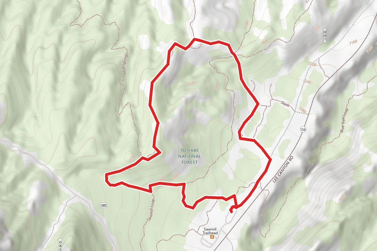 Pinyon to Sawmill Loop