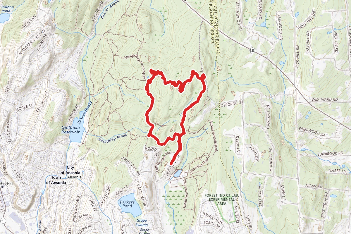 Naugatuck White Trail Loop