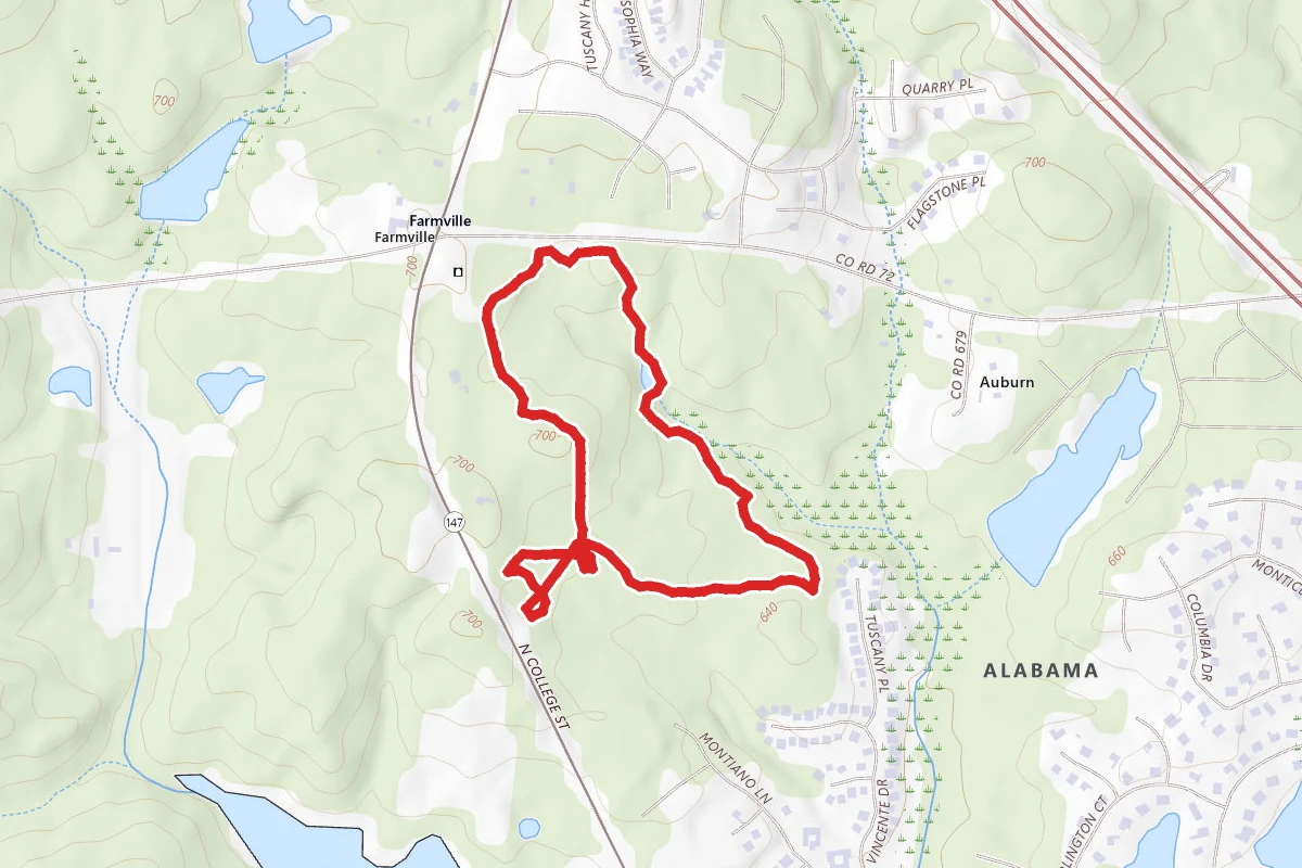 Louise Kreher Forest Trail