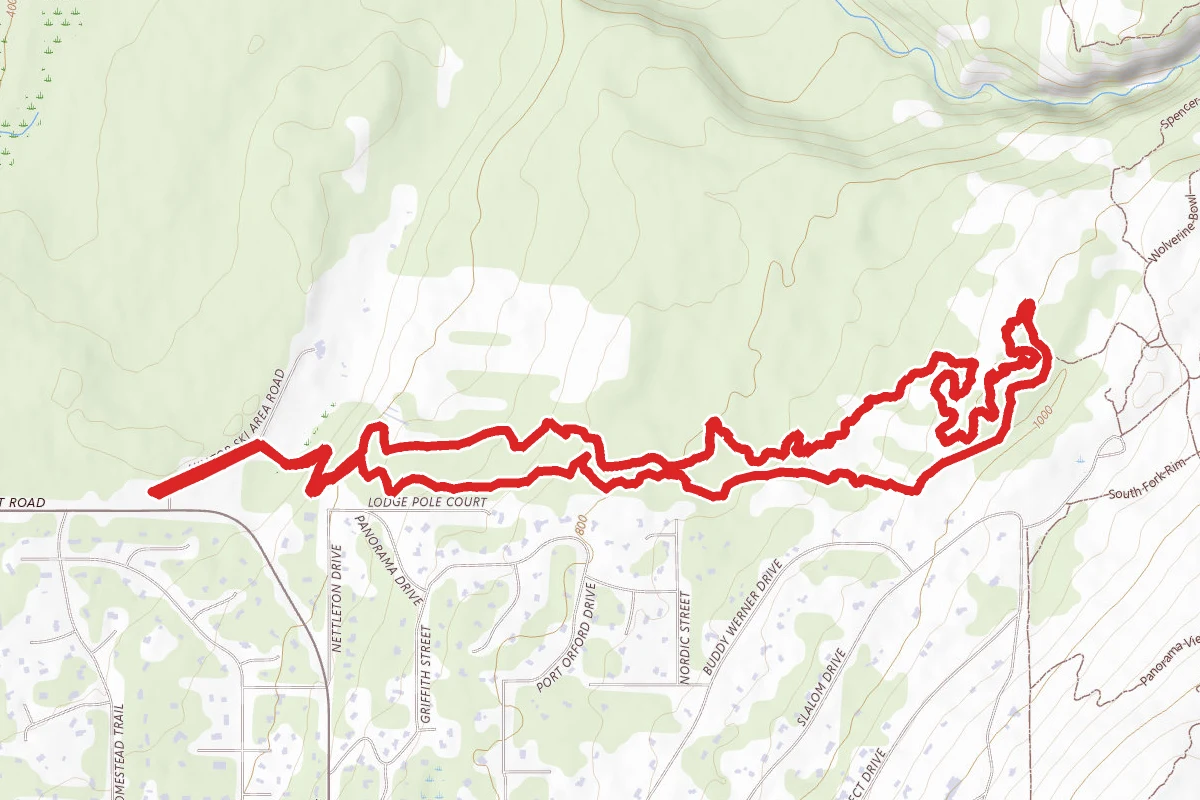 The Hive and Queen Bee Trail