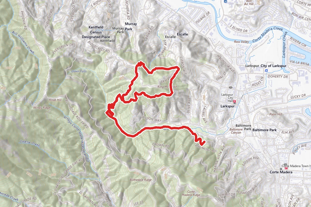Piedmont to Dawn Falls to King Mountain Loop