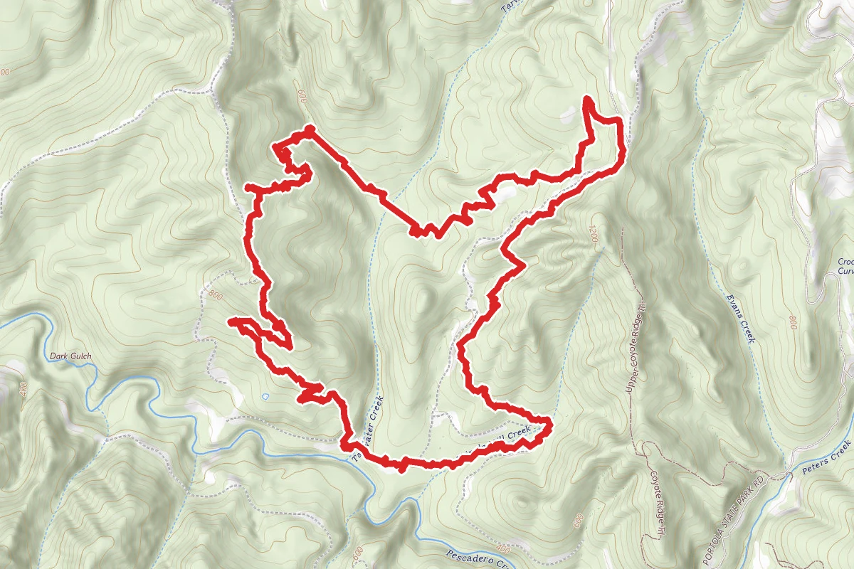 Tarwater, Pomponio, and Canyon Trail Loop
