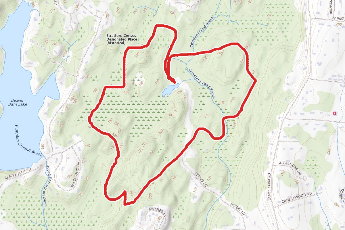 Roosevelt Forest Loop